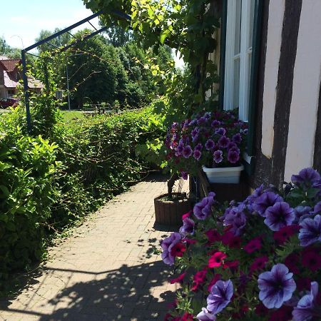 Appartements An Der Schleuse Lübz Exteriör bild